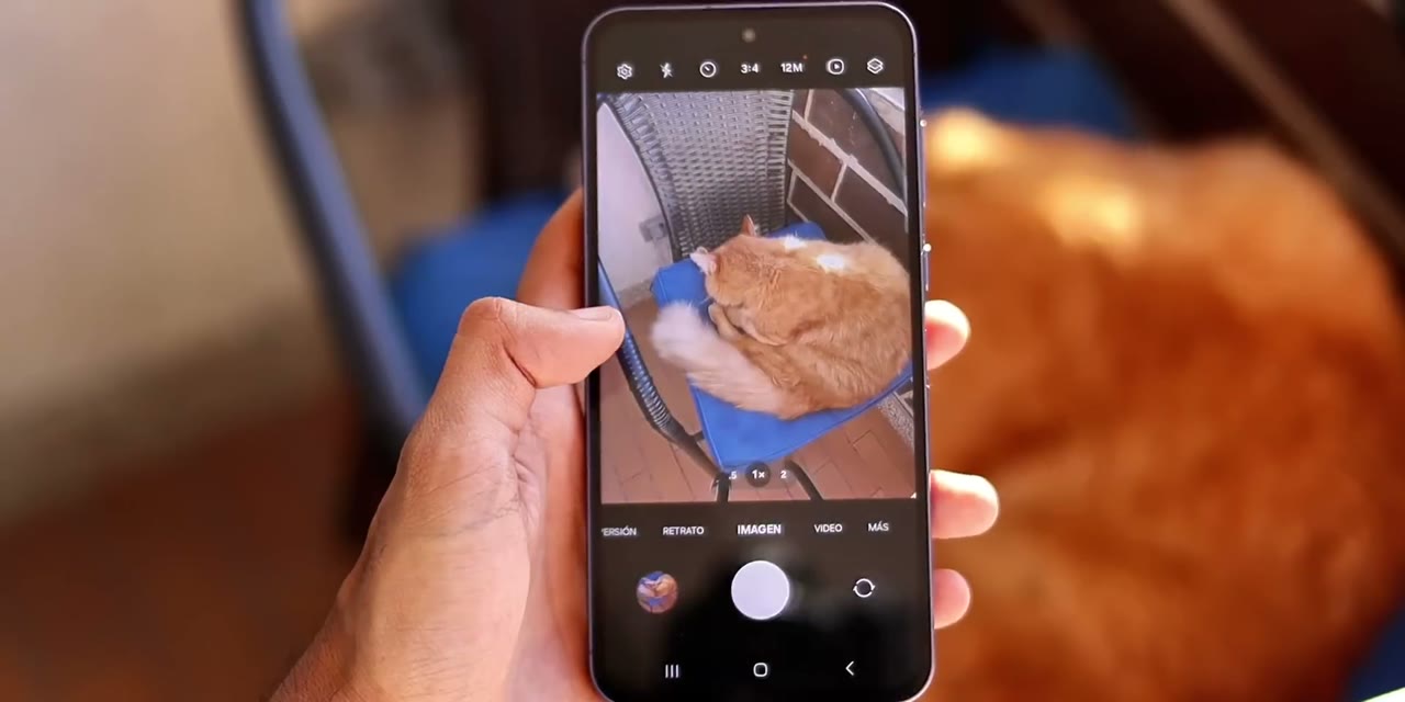 App de cámara del Galaxy A55 tomando una foto a un gato