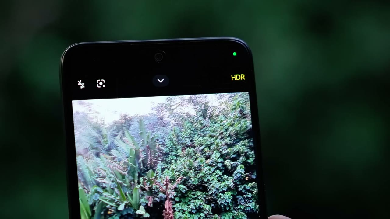 App de cámara del Redmi Note 14 4G con HDR encuadrando vegetación de día